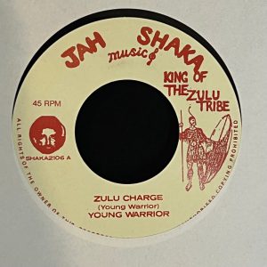 Young Warrior - Zulu Charge